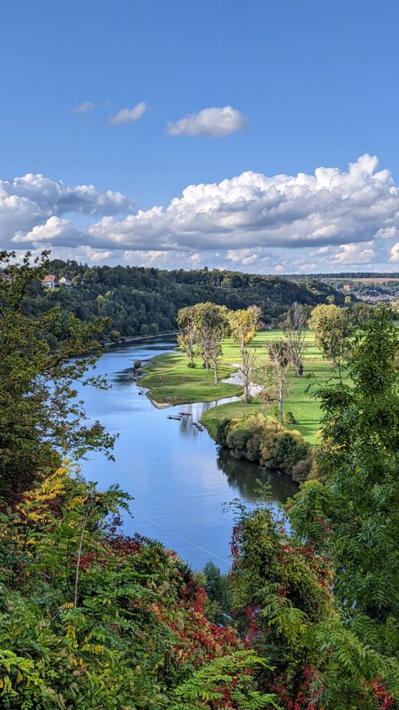 pexels photo 5595880 5595880 Idyllic landscape with river and trees in Bad Wimpfen, Germany under a vibrant blue sky.
