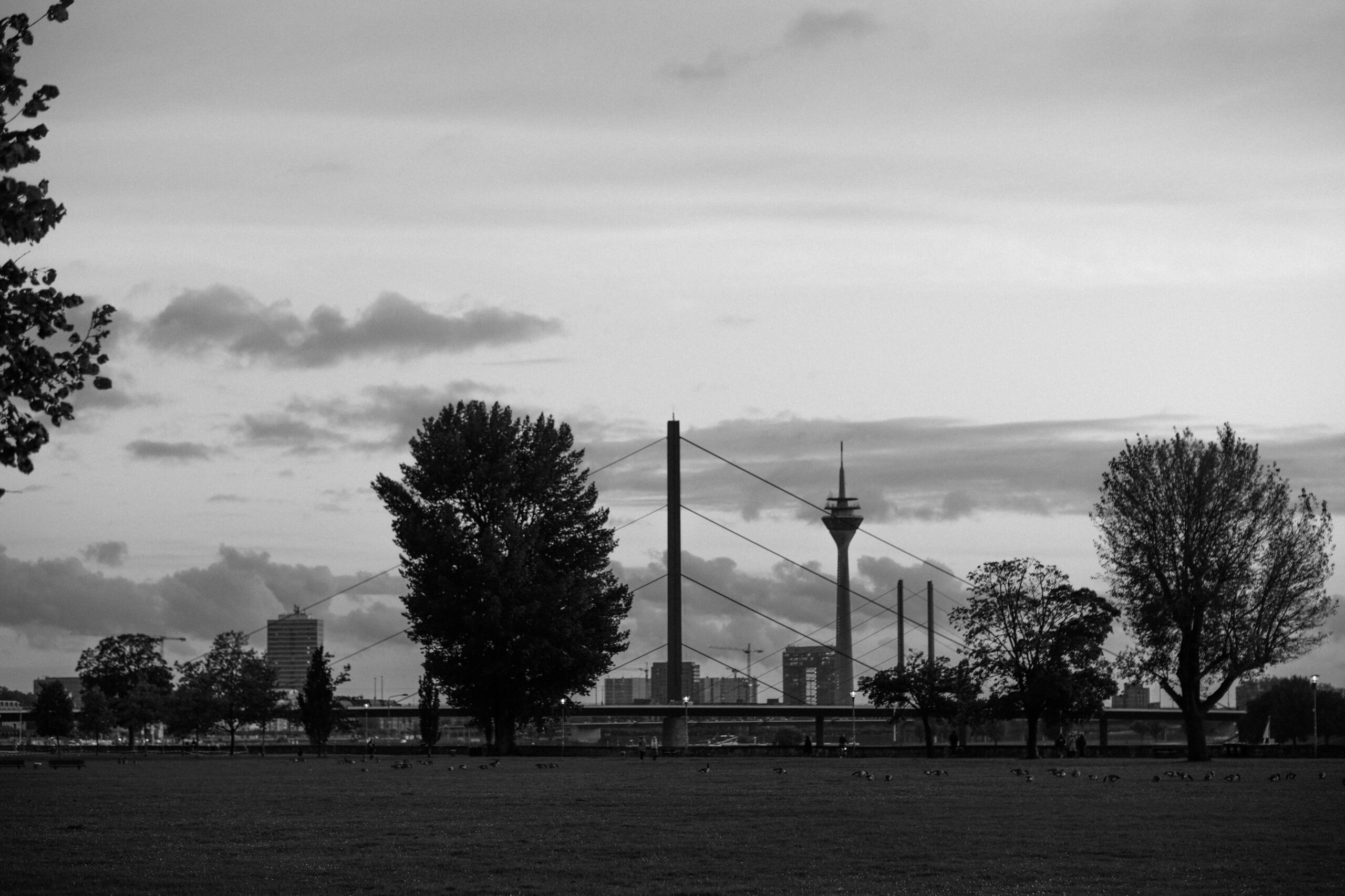 Kosten für Treppenlifte Dortmund 2026: Was Sie wissen sollten A striking black and white skyline of Düsseldorf featuring the iconic suspension bridge and tranquil surroundings.