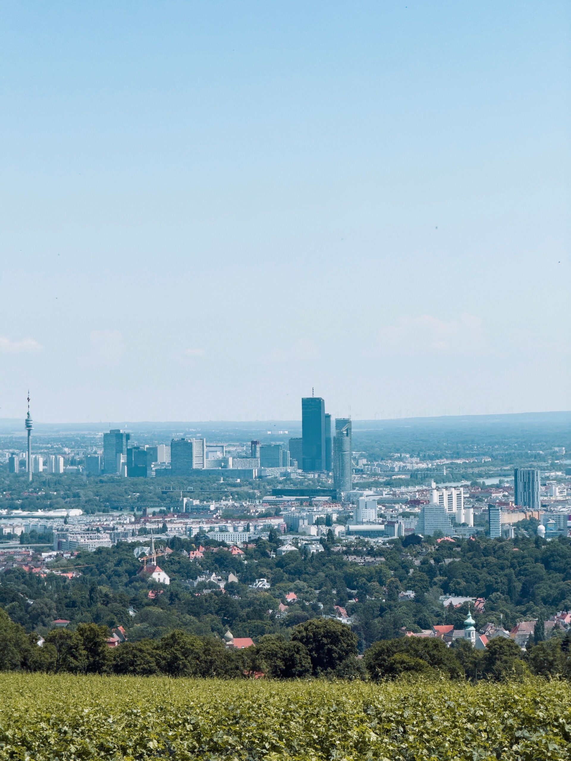 Treppenlift-Anbieter Dortmund: Tipps zur Auswahl des besten Modell Aerial view showcasing Vienna's modern skyline amidst lush greenery on a clear summer day.